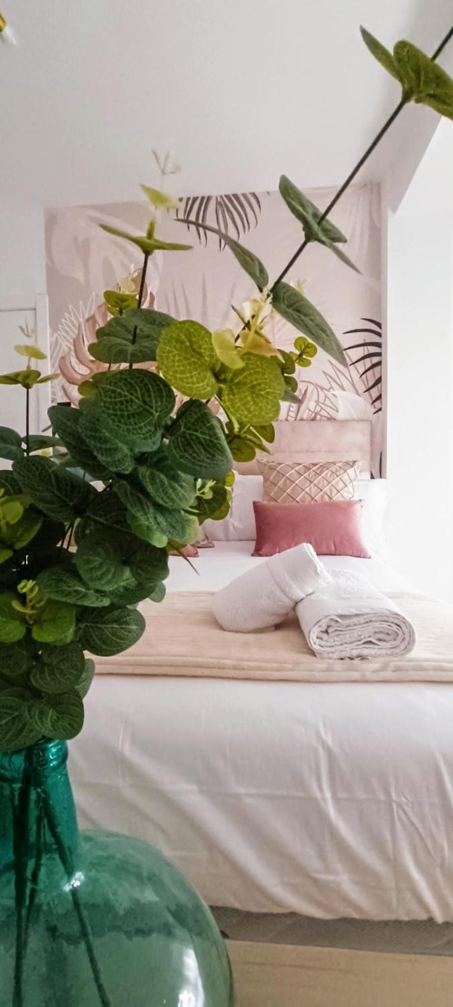גרנדה Apartamento Centro Ancha De Gracia מראה חיצוני תמונה