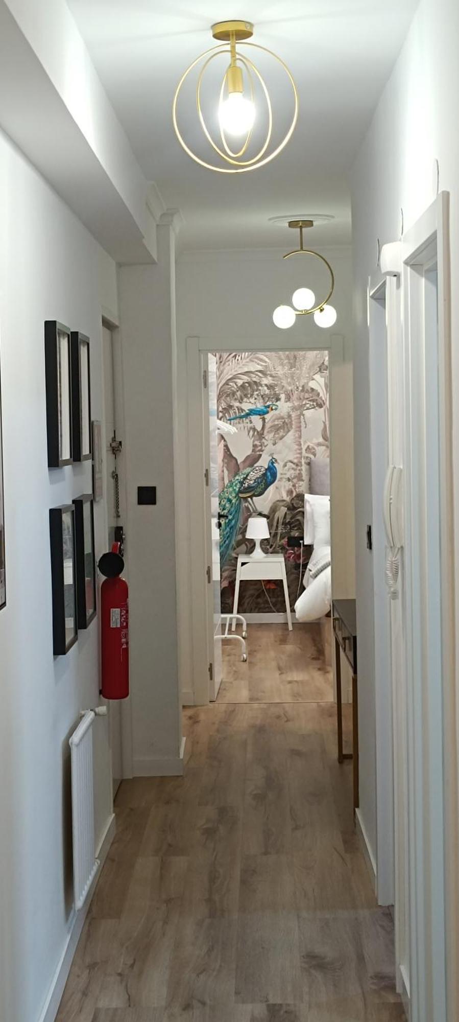 גרנדה Apartamento Centro Ancha De Gracia מראה חיצוני תמונה